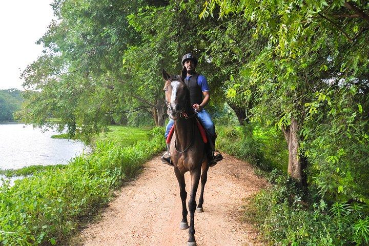 Horse Ride Experience from Sigiriya