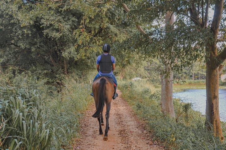 Esperienza a cavallo da Habarana