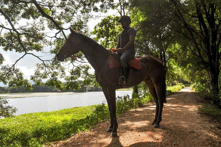 Horse Ride Experience from Sigiriya