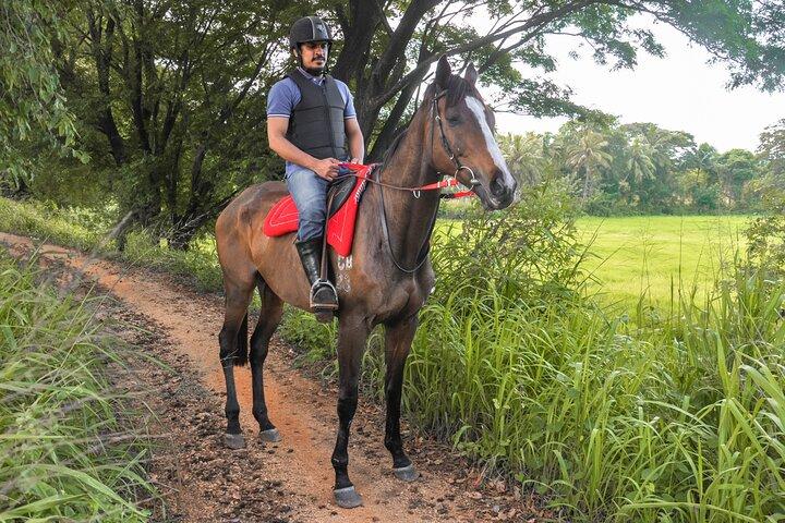 Esperienza a cavallo da Habarana