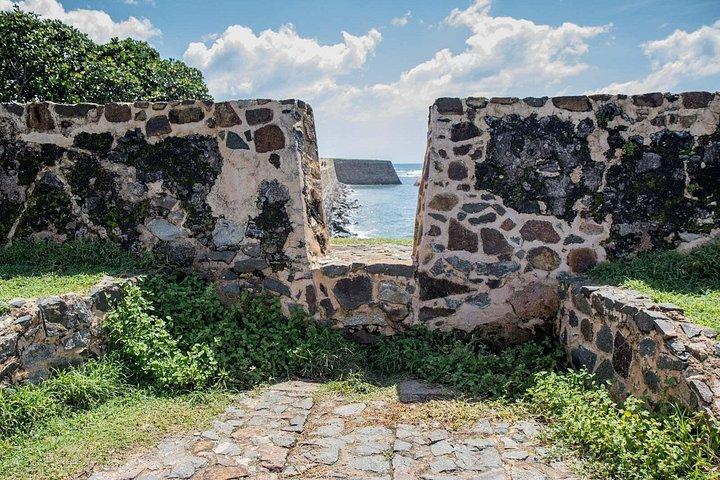 コロンボからのサザンコーストのハイライト