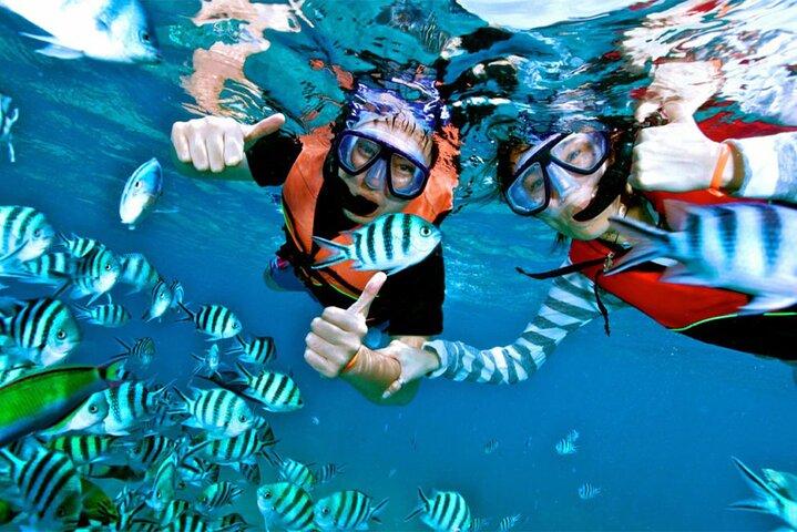 Snorkling fra Unawatuna