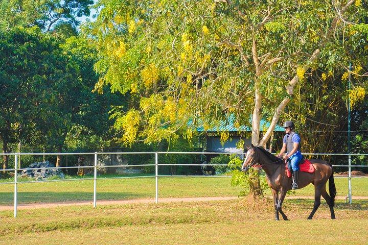 Horse Riding for Beginners from Sigiriya