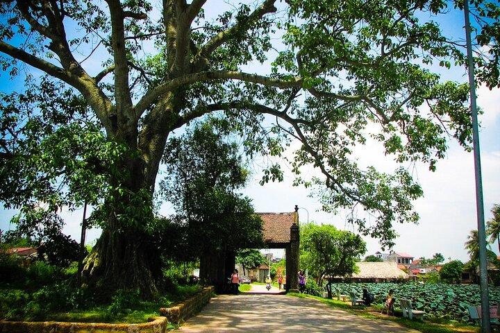 1 Tag Entdecken Sie das alte Dorf Duong Lam und das ländliche Leben von Hanoi