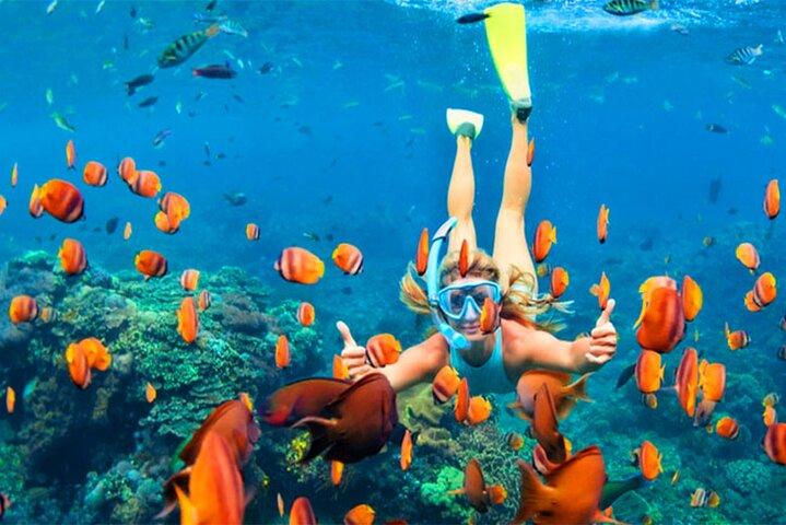 Snorkeling em Negombo