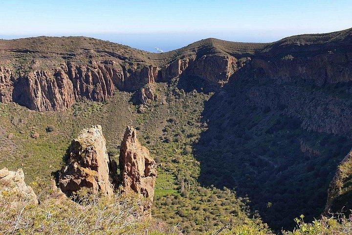グランカナリア火山とカナリアワインの試飲のプライベートツアー