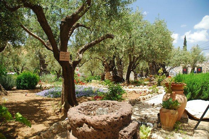 Dagtour naar de oude stad van Jeruzalem & Mount Zion