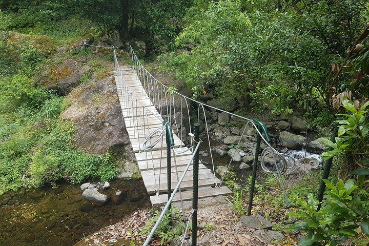 Paseo privado guiado Levada Castelejo