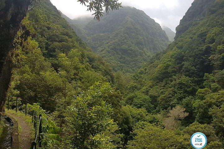 Paseo privado guiado Levada Castelejo