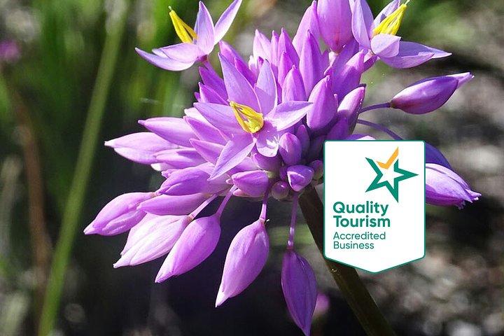 Visites privées d'une journée sur les fleurs sauvages du printemps