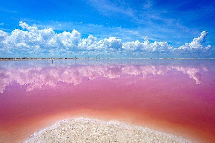 Lago Rosa Las Coloradas + Rio Lagartos Riserva! Da Cancun