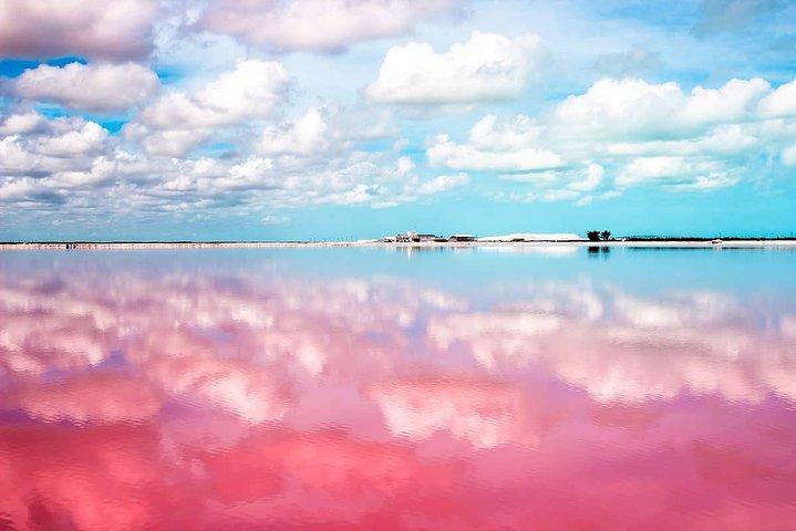 Lago Rosa Las Coloradas + Rio Lagartos Riserva! Da Cancun