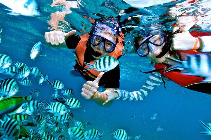 Snorkeling em Negombo