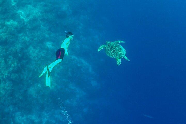 セブ島からのフル・デイ・モアルボア諸島とカワサン滝小グループツアー