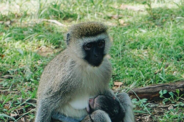 1 Day Mount Longonot Trek