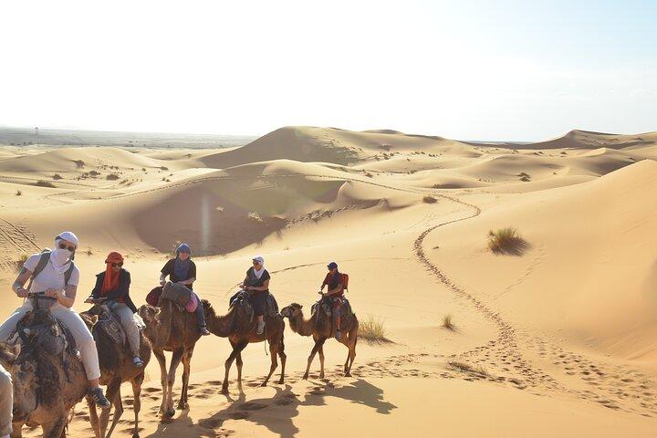 Fra Ouarzazate : 3 - Dag Merzouga Sahara Tour Option Endende i Fes
