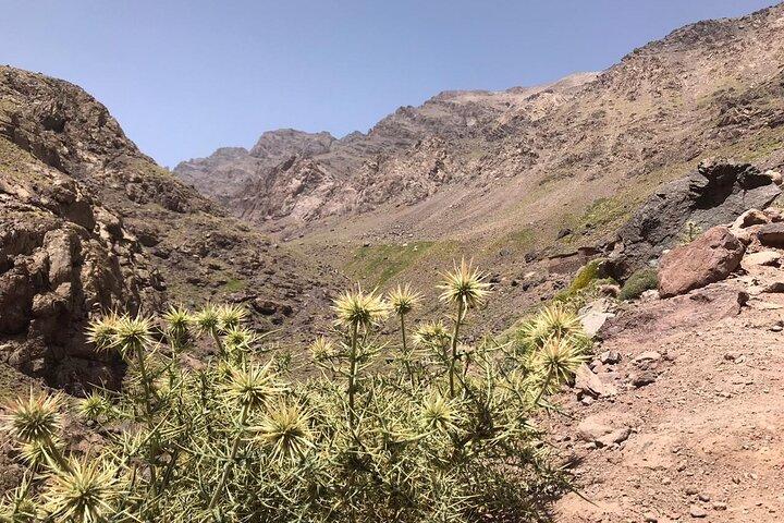 Toubkal Ascent In two days