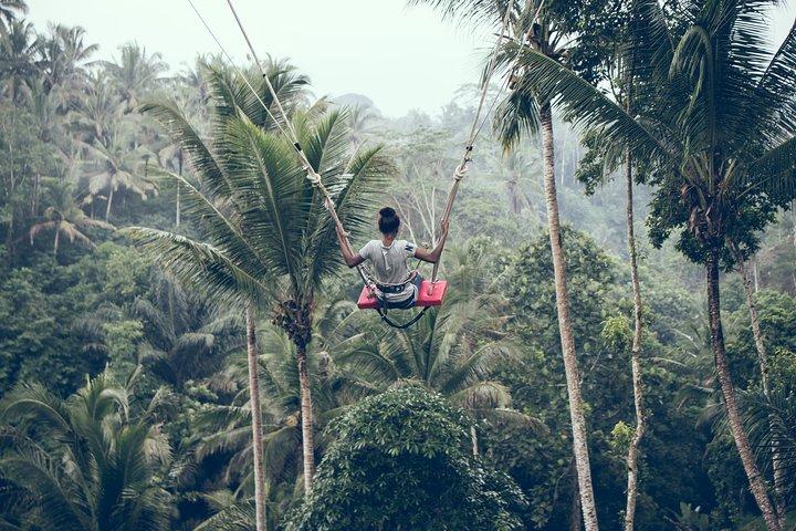 Best of Ubud mit Jungle Swing Tour
