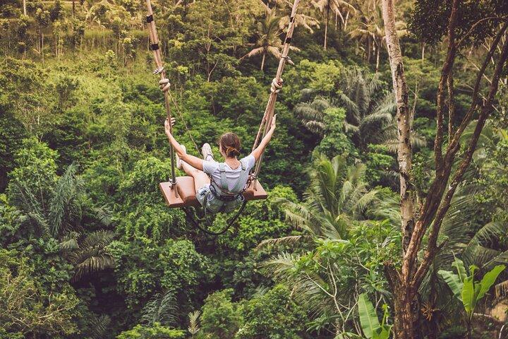 Het beste van Ubud met Jungle Swing Tour