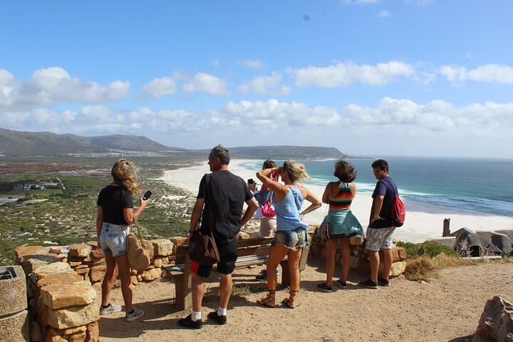 Private Tour from Cape Town To Cape of Good Hope Penguins Plus Wine Tasting F/D