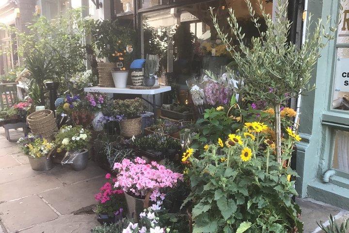Visite à pied du village de Hampstead (Londres)