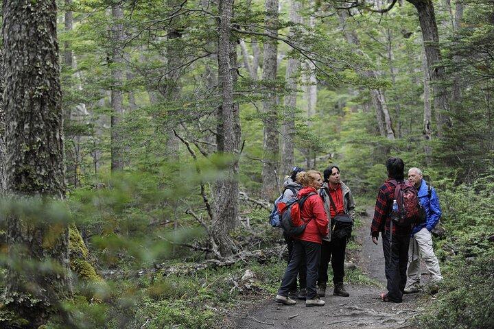 Tour privato: Trekking e canoa nel Parco Nazionale Terra del Fuoco nella baia di Lapataia