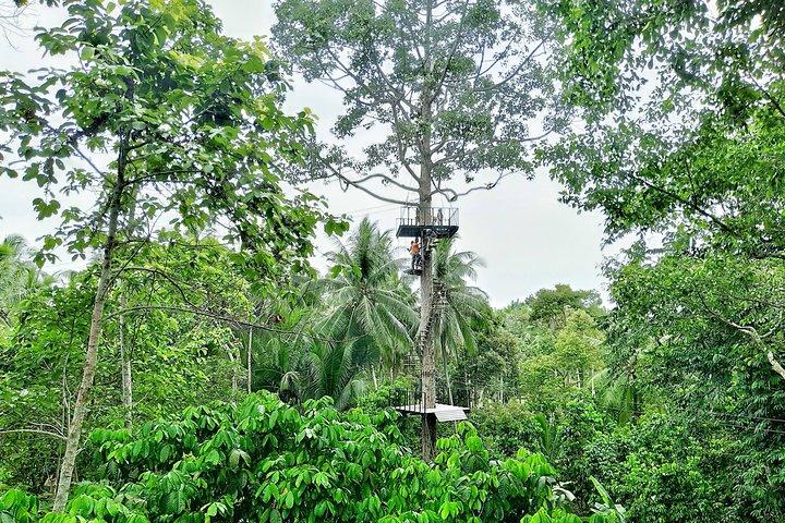Samui Zipline Utforska och ansluta till naturen