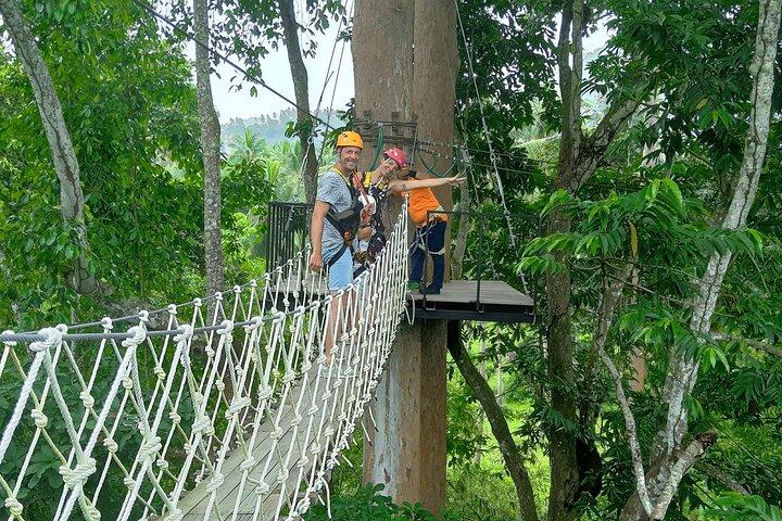 Samui Zipline Explore and Connect with Nature