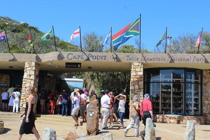 Tour privato per piccoli gruppi ai pinguini di Cape Point da Cape Town Tariffe d'ingresso escluse