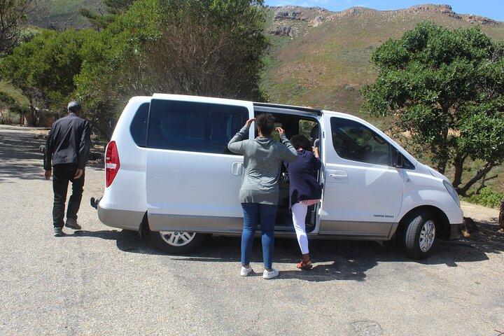 Tour privato per piccoli gruppi ai pinguini di Cape Point da Cape Town Tariffe d'ingresso escluse