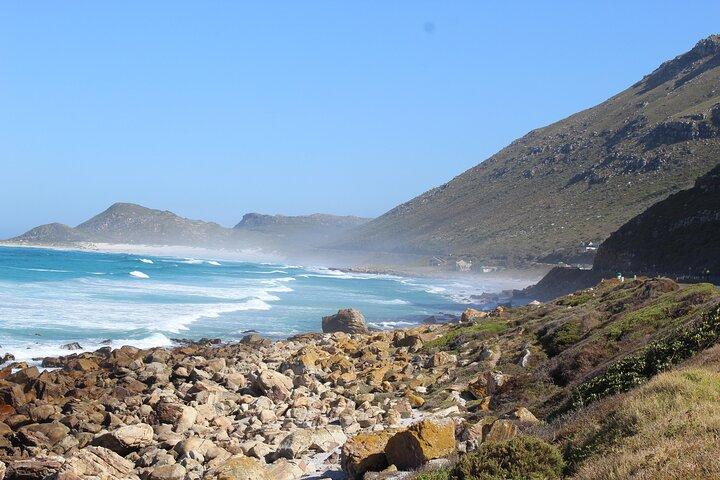 Tour privato per piccoli gruppi ai pinguini di Cape Point da Cape Town Tariffe d'ingresso escluse