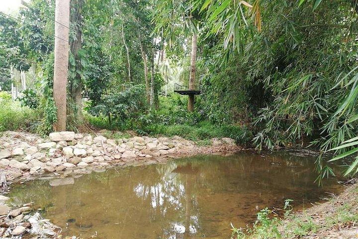 Jungle Xtreme Zipline 16 Platforms Tour From Koh Samui