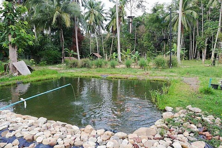 Jungle Xtreme Zipline 16 Platforms Tour From Koh Samui