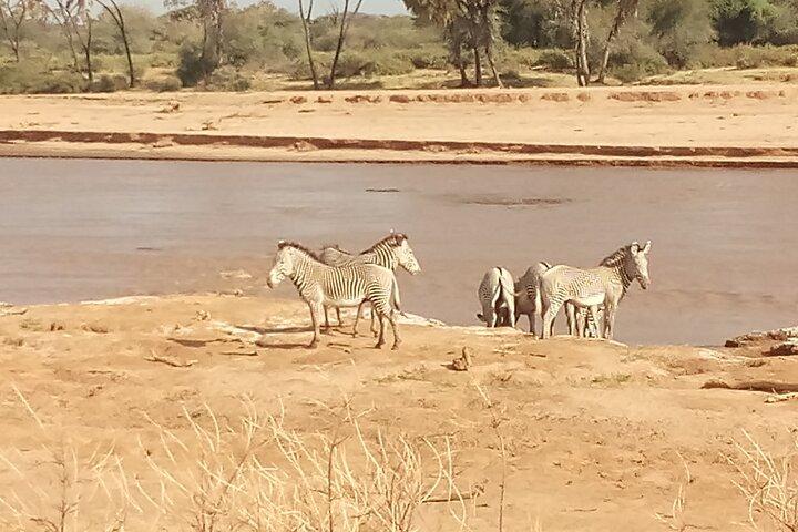 5 Days Safari to Samburu N/R, Meru N/P, Mid range.