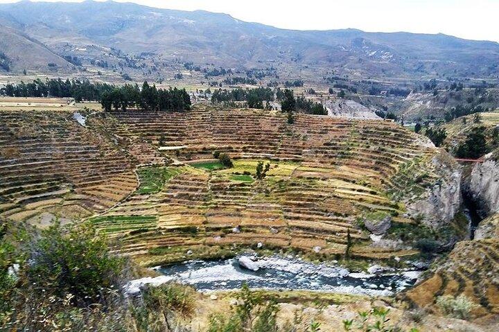 Tour del Canyon del Colca 2d Escursione breve + Pernottamento in un piccolo villaggio Termina ad Arequipa