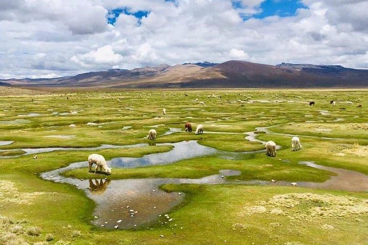 Tour del Canyon del Colca 2d Escursione breve + Pernottamento in un piccolo villaggio Termina ad Arequipa
