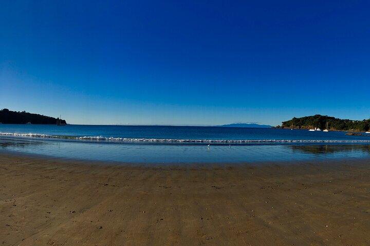 Waiheke Island Premium Wine Tour with Tastings