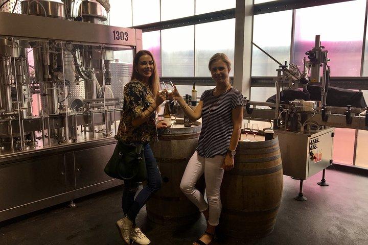Waiheke Island Premium Wine Tour with Tastings