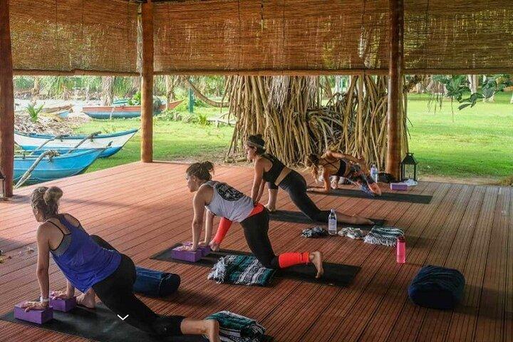 cours de yoga Sri Lanka - Yoga aérien (forfait bien-être Ayurveda)