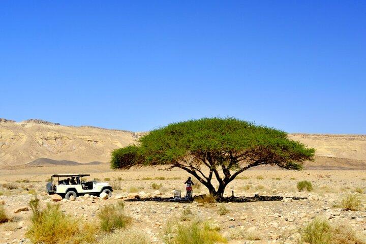 Safári no deserto e viagem diurna para o Mar Morto saindo de Tel Aviv