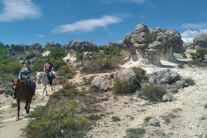 Ridning i Haute Provence Luberon og Forcalquier