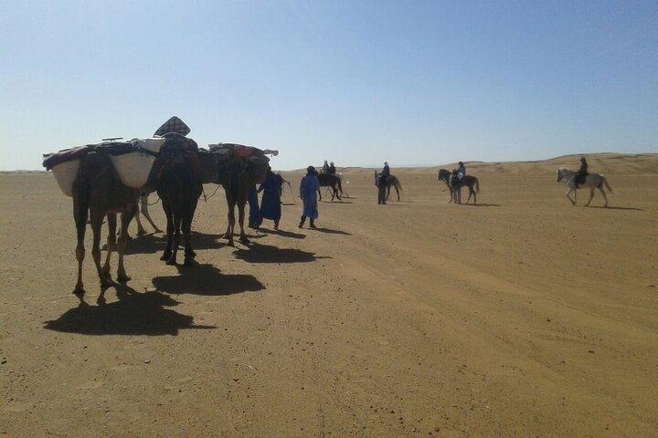 Maroc Camel Treks Expériences 2 Nghits dans le désert de l'Erg Chabbi