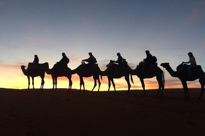 Maroc Camel Treks Expériences 2 Nghits dans le désert de l'Erg Chabbi