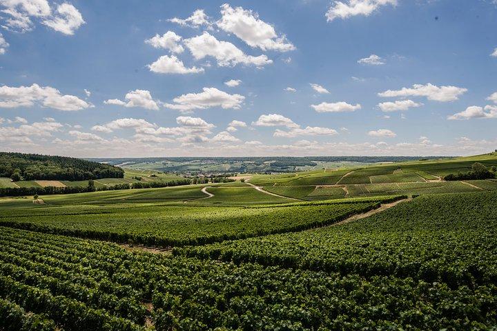 Winzer sensorische Erfahrung