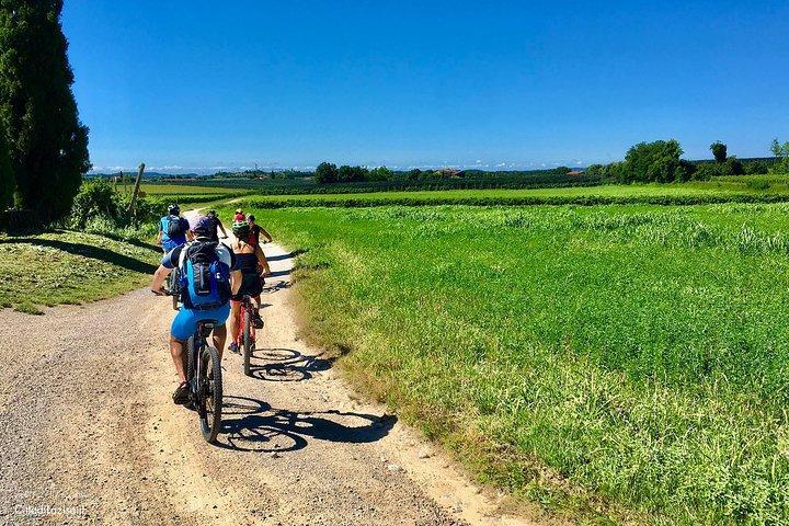 E-cykeltur og vinsmagning i Lazise
