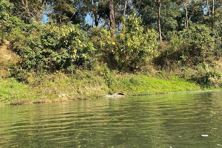 Chitwan Jungle Safari con pernottamento