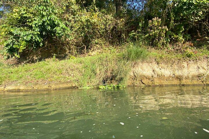 Chitwan Jungle Safari con pernottamento