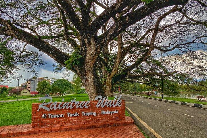 Excursão de um dia em Taiping Eco & Heritage saindo de Kuala Lumpur (Tour Privado)