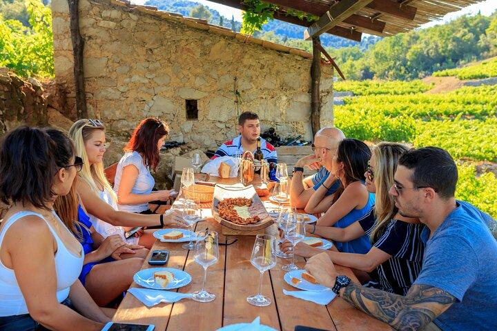 Peljesac&Ston Small-Group Mad & Wine Experience fra Dubrovnik