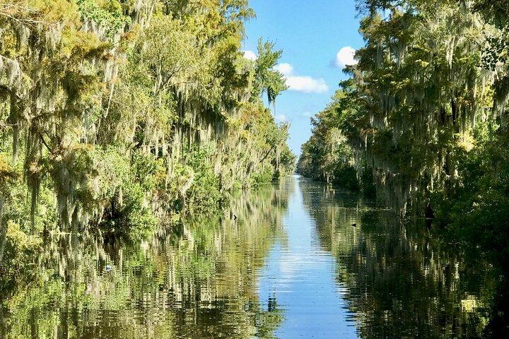 Guided Boat Tour of New Orleans Bayou